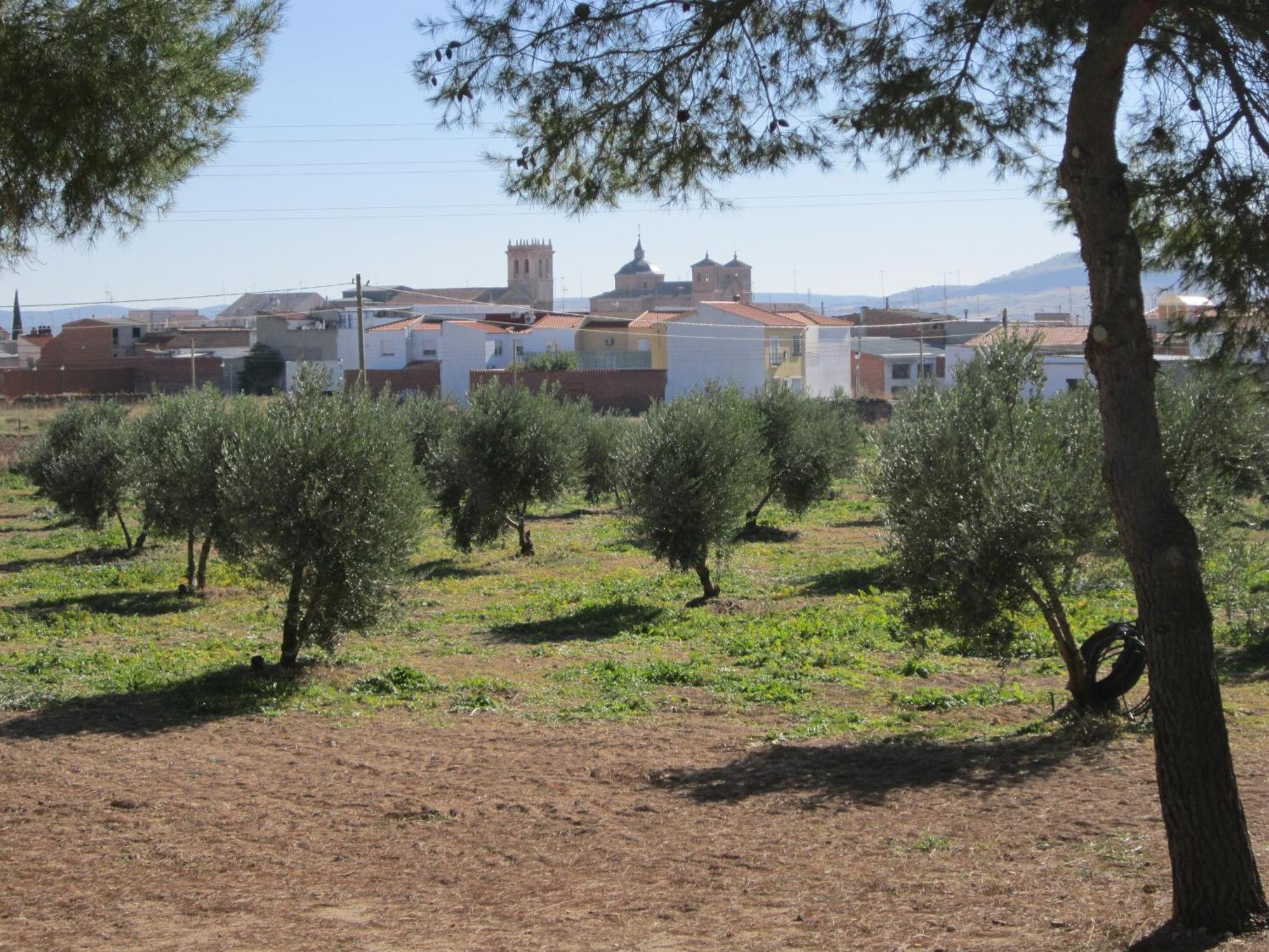 Apartamentos Rurales Las Caleras Almagro Dış mekan fotoğraf